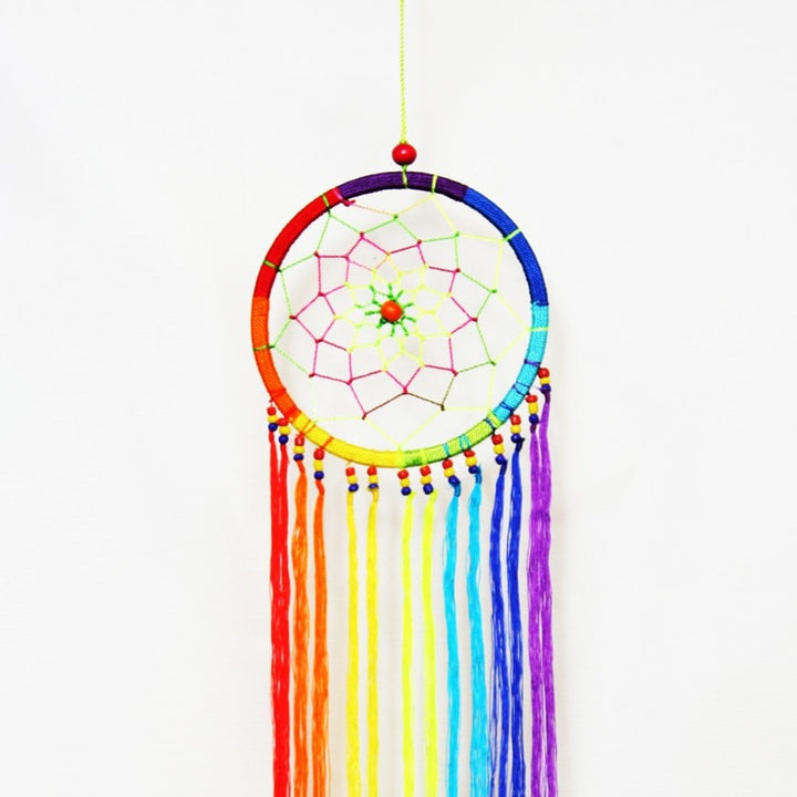 Rainbow Trail Dreamcatcher