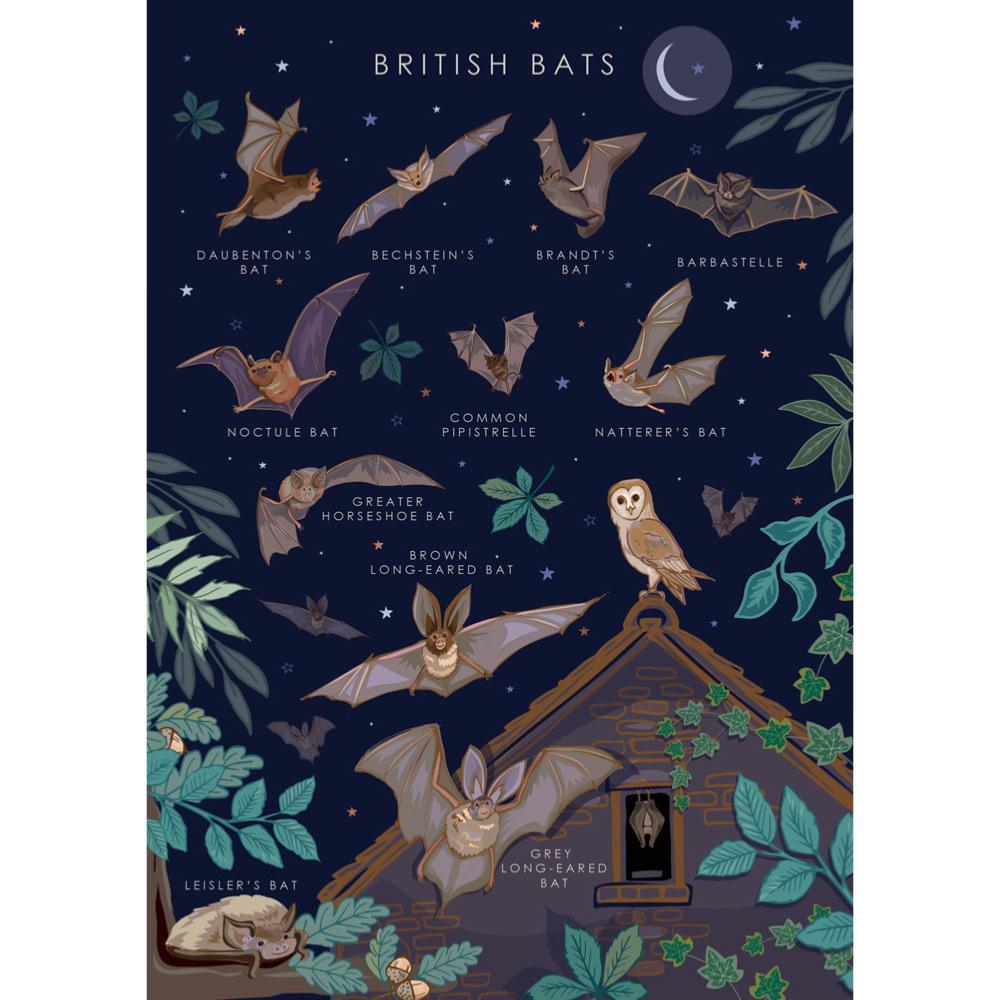 British Bats