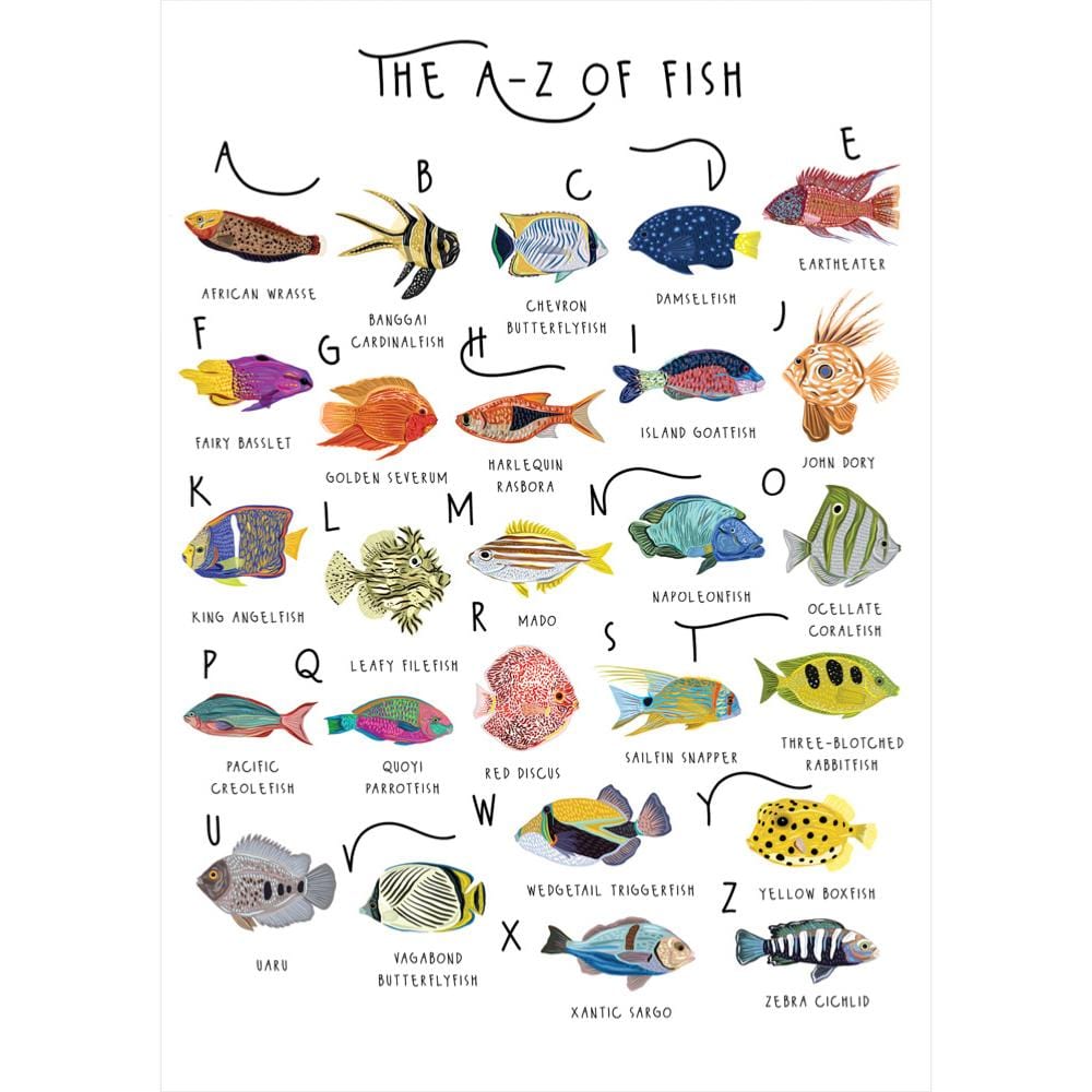 The A-Z of Fish Card