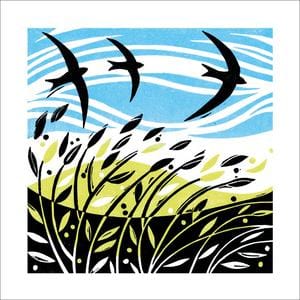 Swooping Swifts
