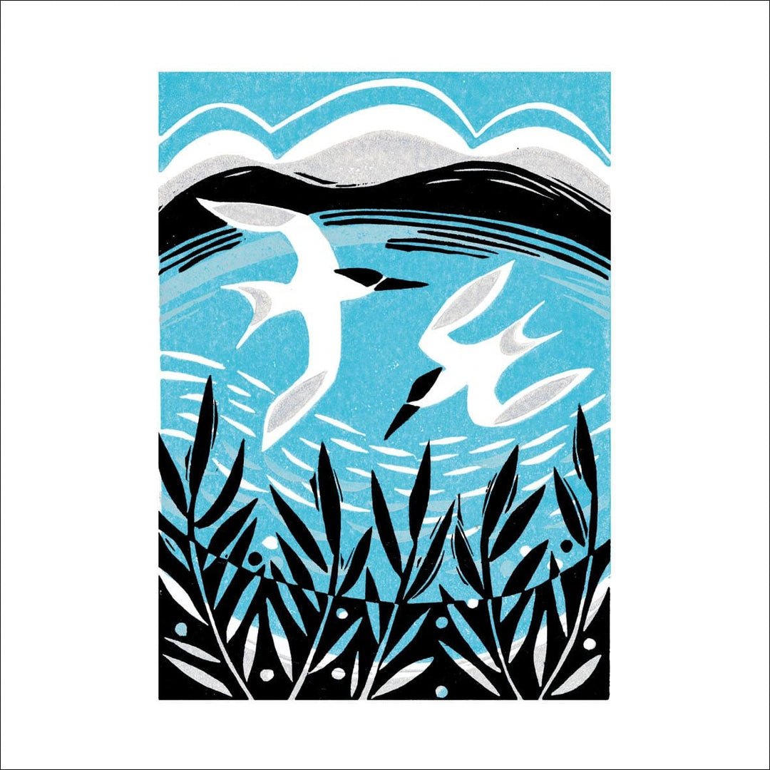 Terns