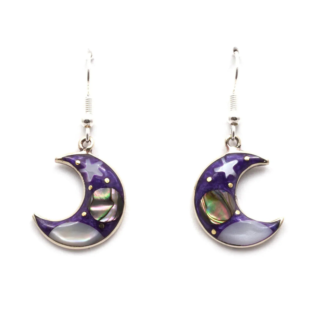 Stellar Crescent Moon Earrings