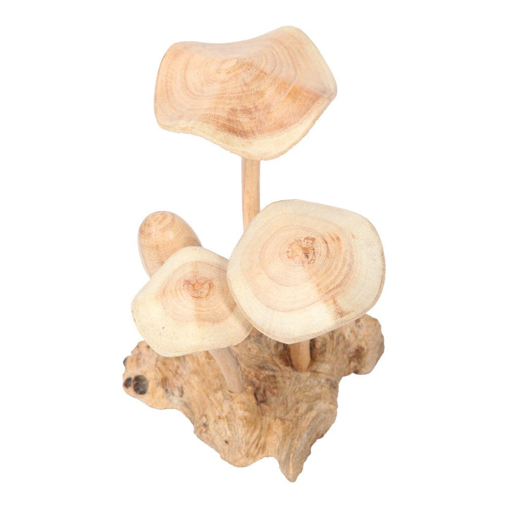 Wooden Parasite Mushroom Tree