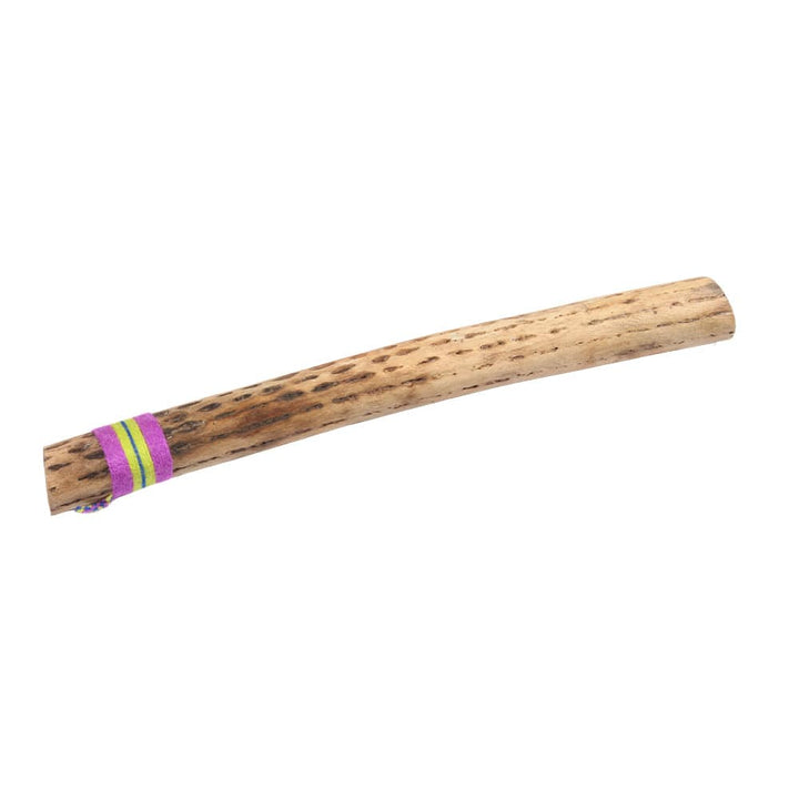 Medium Chilean Cactus Rainstick