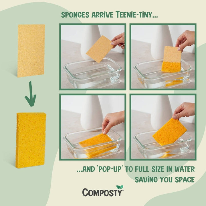The Better Sponge Starter Pack