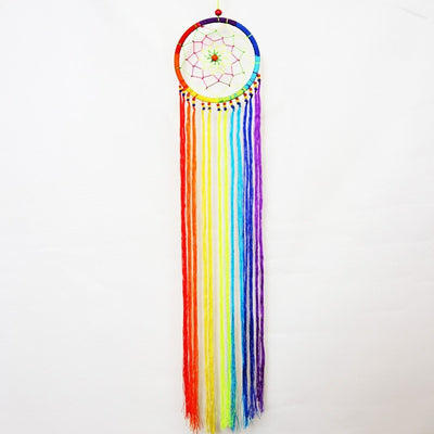 Rainbow Trail Dreamcatcher