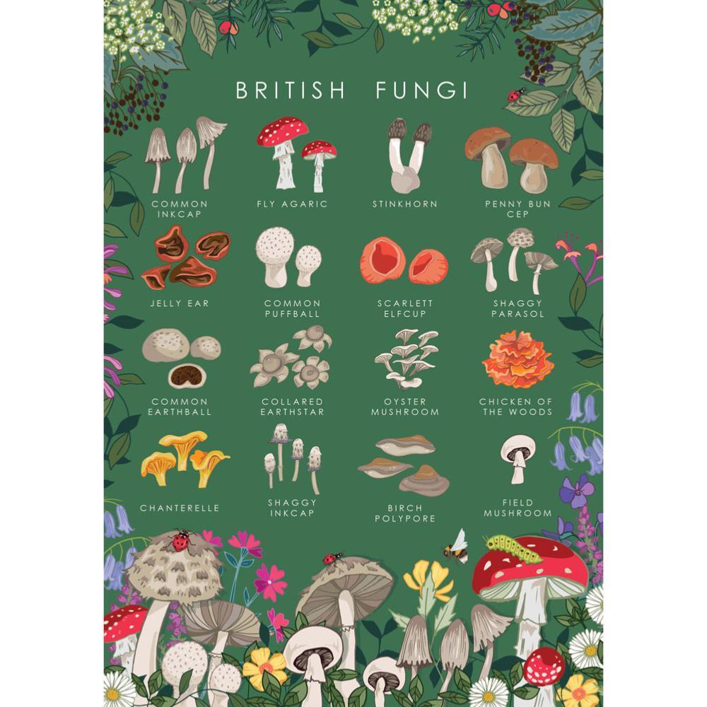 British Fungi