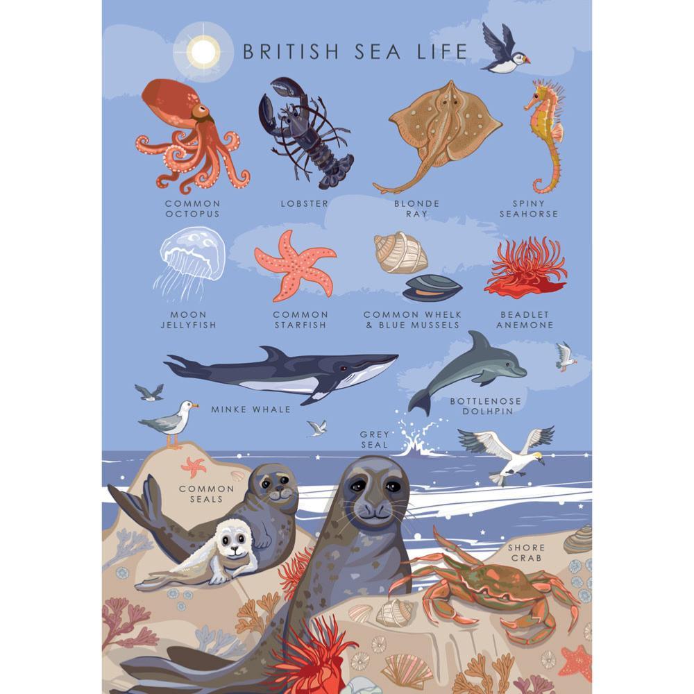 British Sea Life