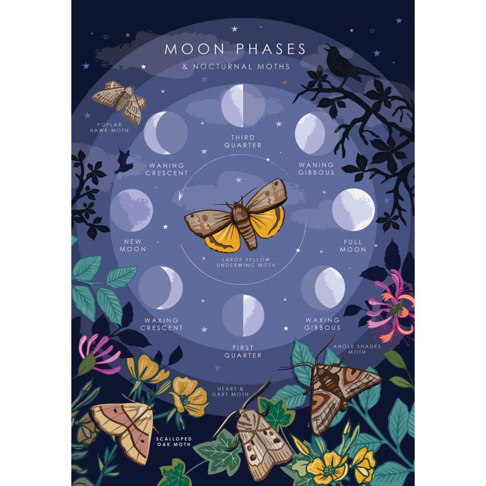 Moon Phases & Nocturnal Moths