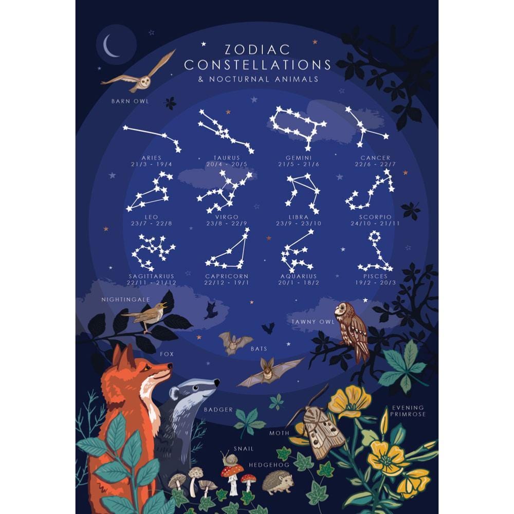 Zodiac Constellation & Nocturnal Animals