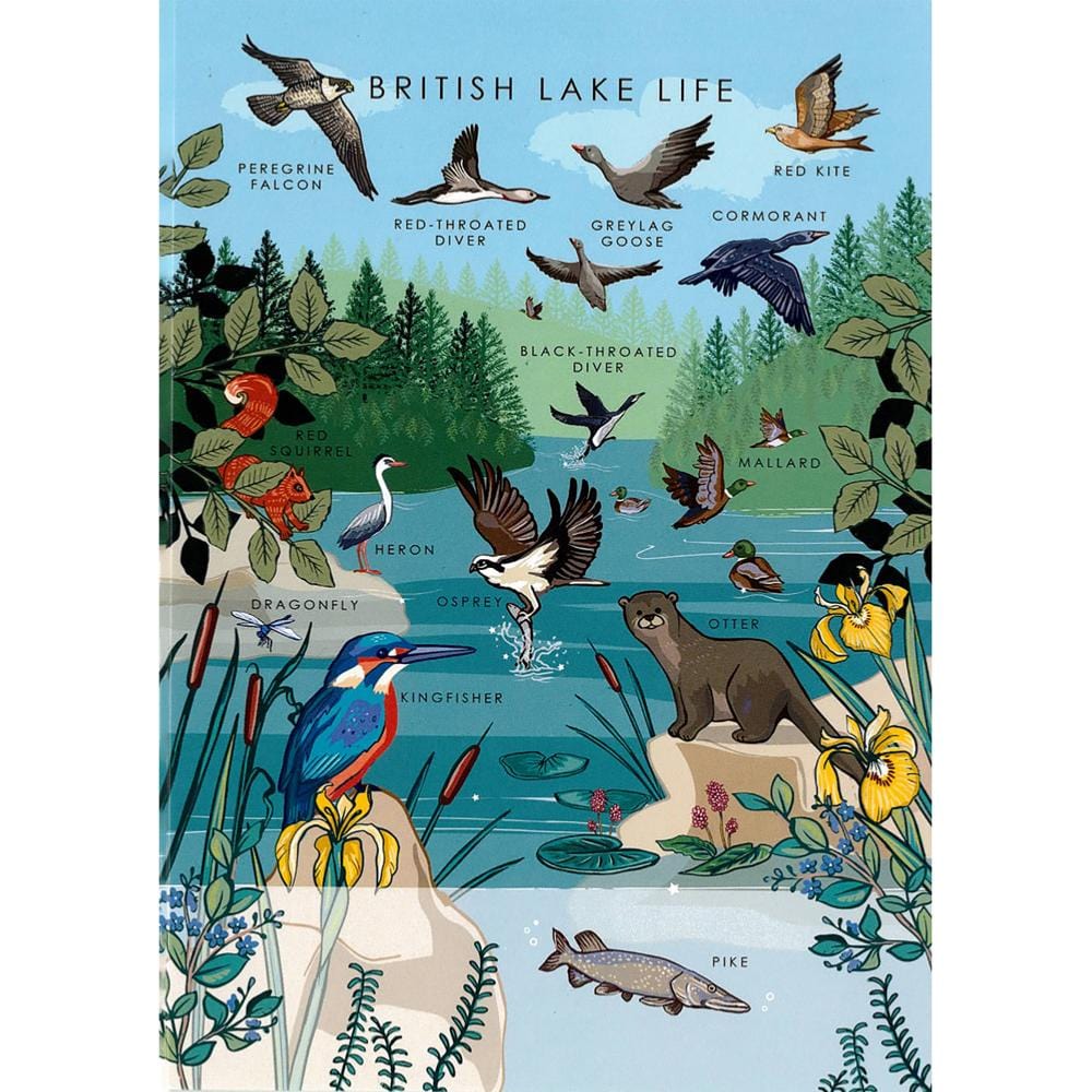 British Lake Life