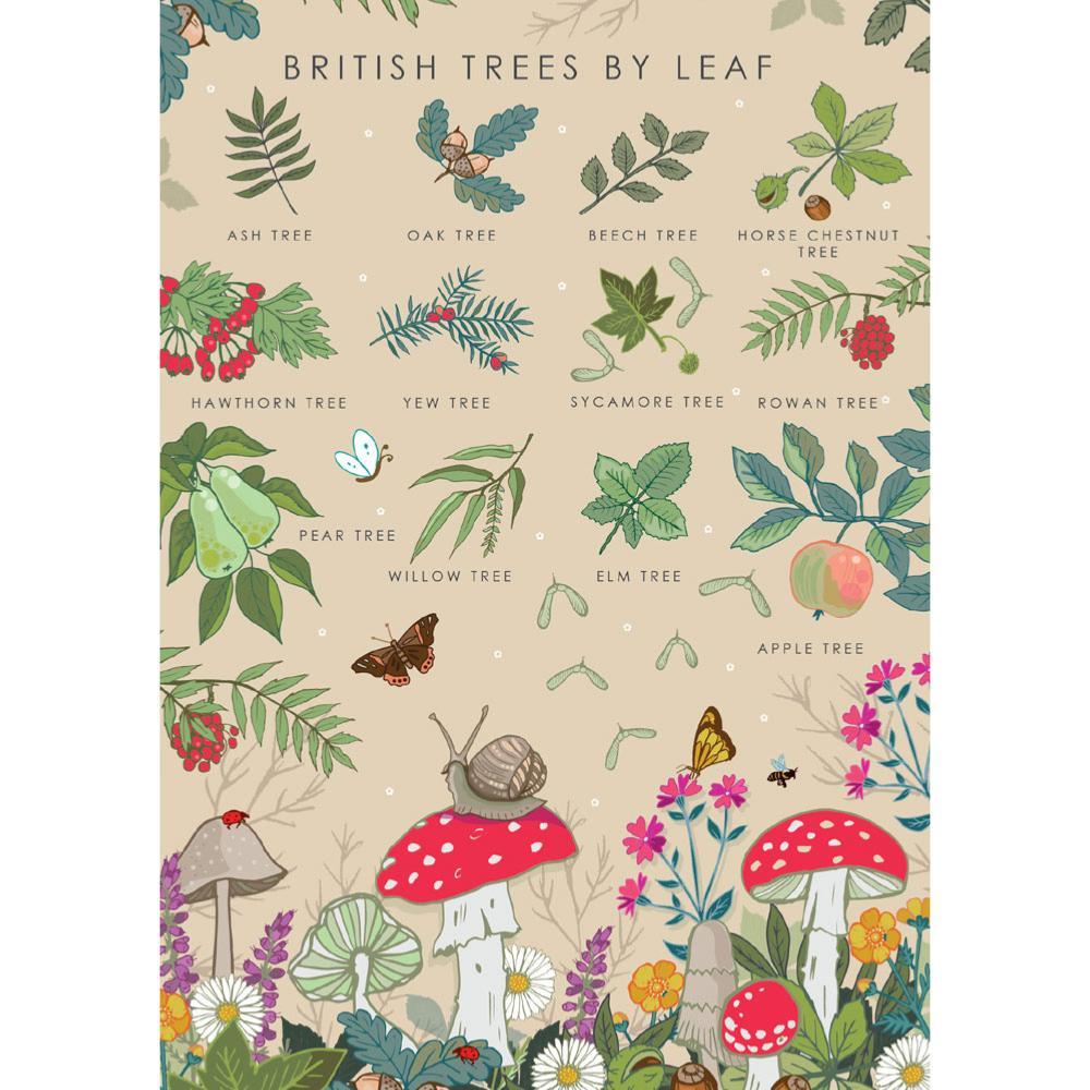 British Trees By Leaf