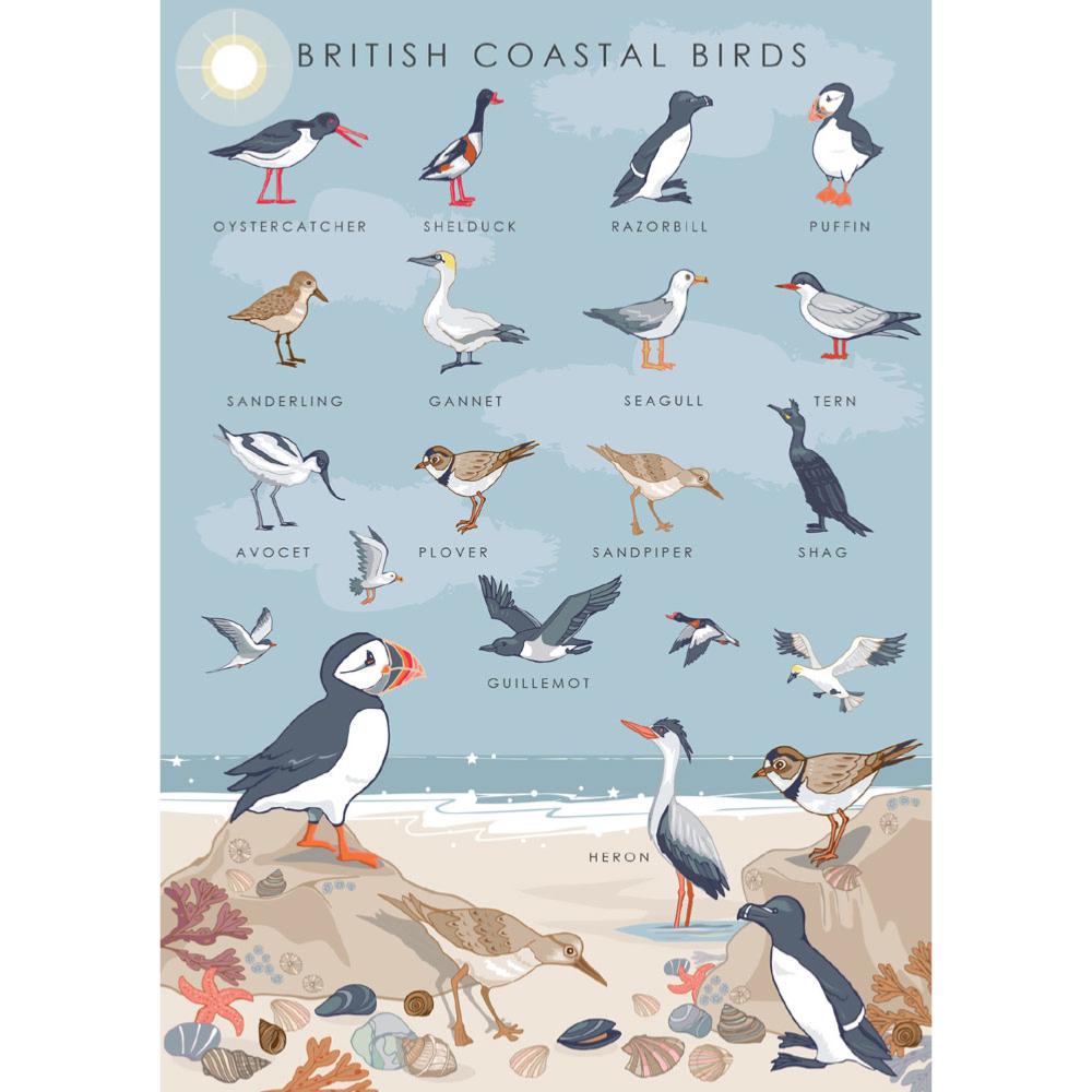 British Coastal Birds