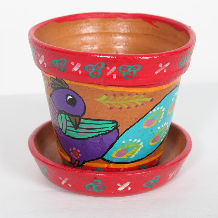Mithila Plant Pot & Saucer