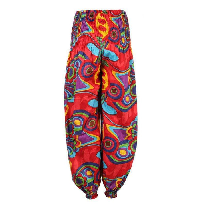 Bold Print Genie Harem Pants